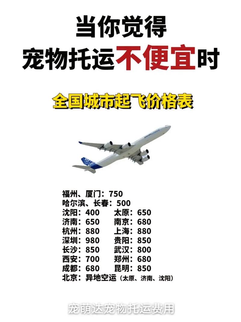 坐动车能不能带宠物(托运一只猫要多少钱)