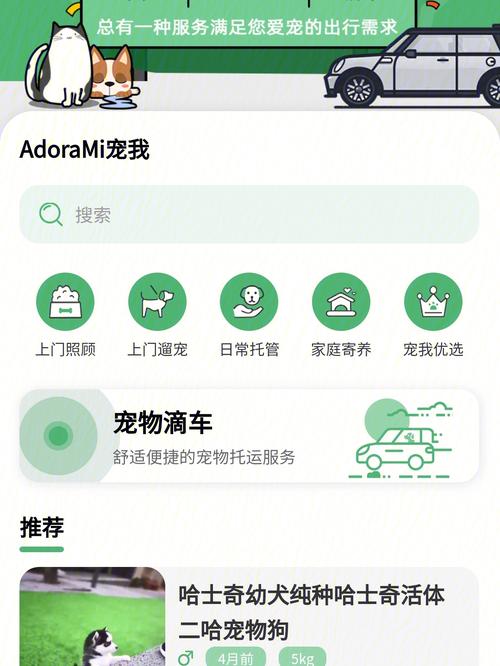 坐大巴可以带宠物吗北京(宠物托运平台app)