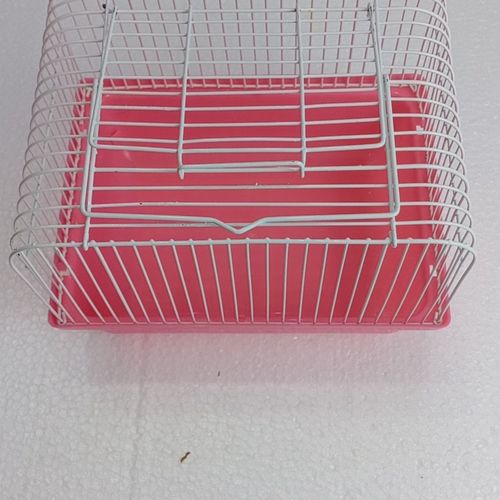 大巴可以带宠物吗,有笼子(大巴可以带宠物吗小猫)