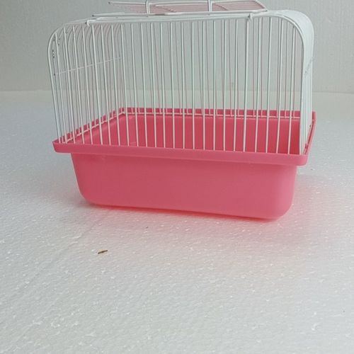 大巴可以带宠物吗,有笼子(大巴可以带宠物吗小猫)