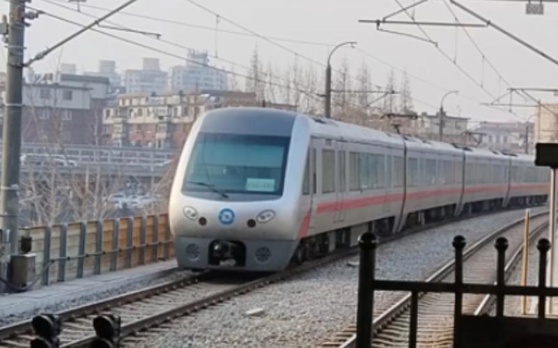 大连轻轨可以带宠物吗(轻轨可以带宠物吗上车)