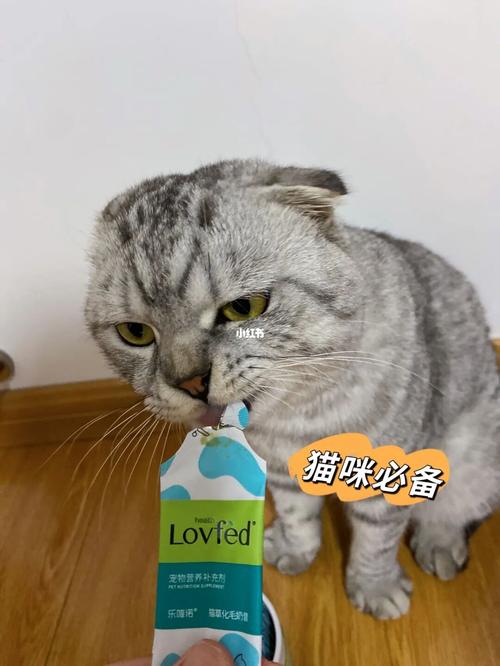 宠物医生英语怎么读音(宠物医生英语作业帮)