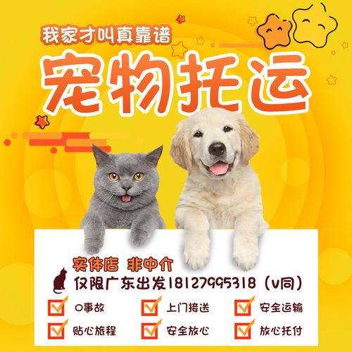 宠物可以寄快递吗有什么条件(哪个快递公司可以寄宠物)