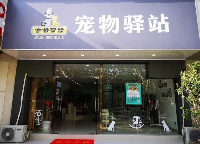 宠物寄养店名字怎么取(附近宠物寄养店)