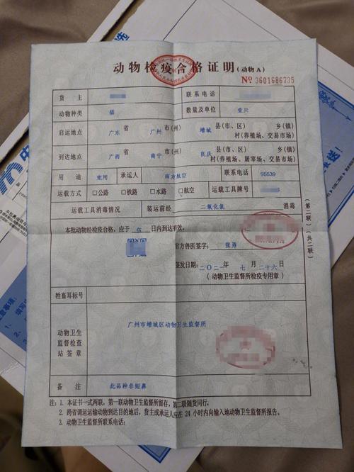 宠物托运怎么弄飞机(宠物托运顺丰宠必达)