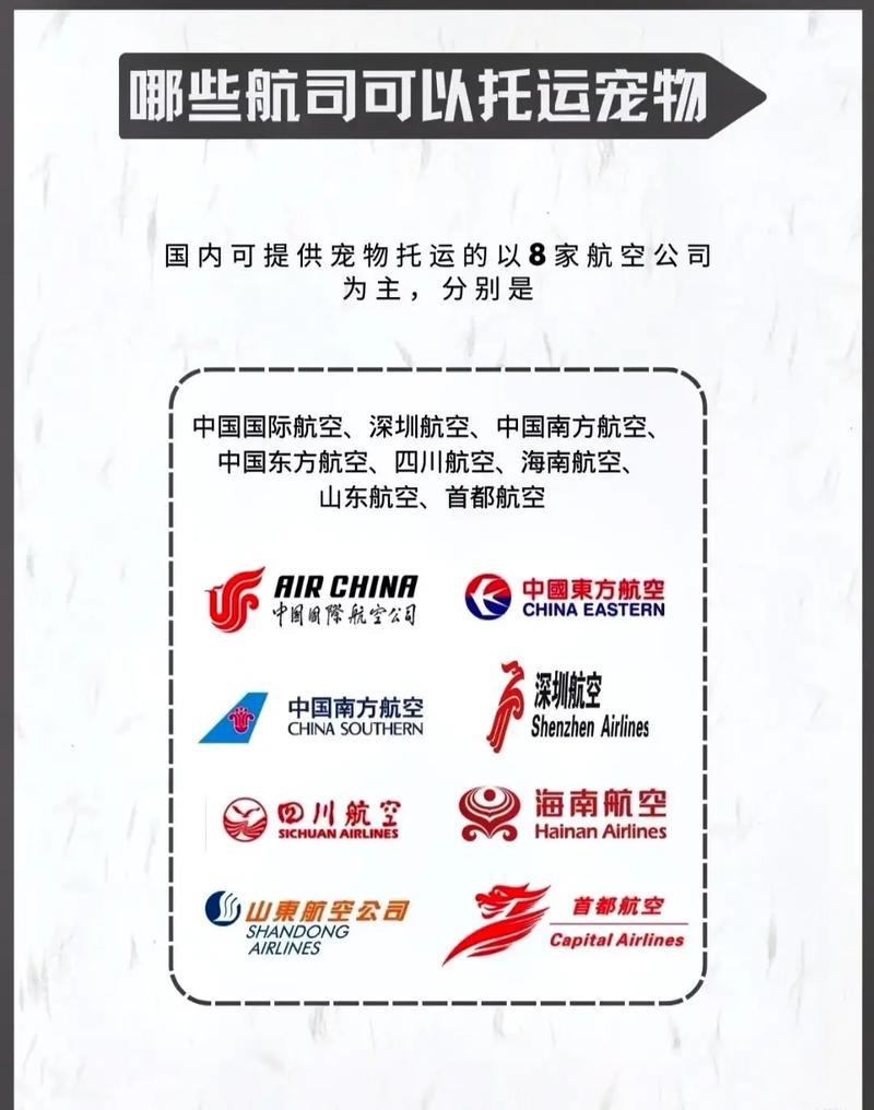 宠物托运怎么弄飞机(宠物托运顺丰宠必达)