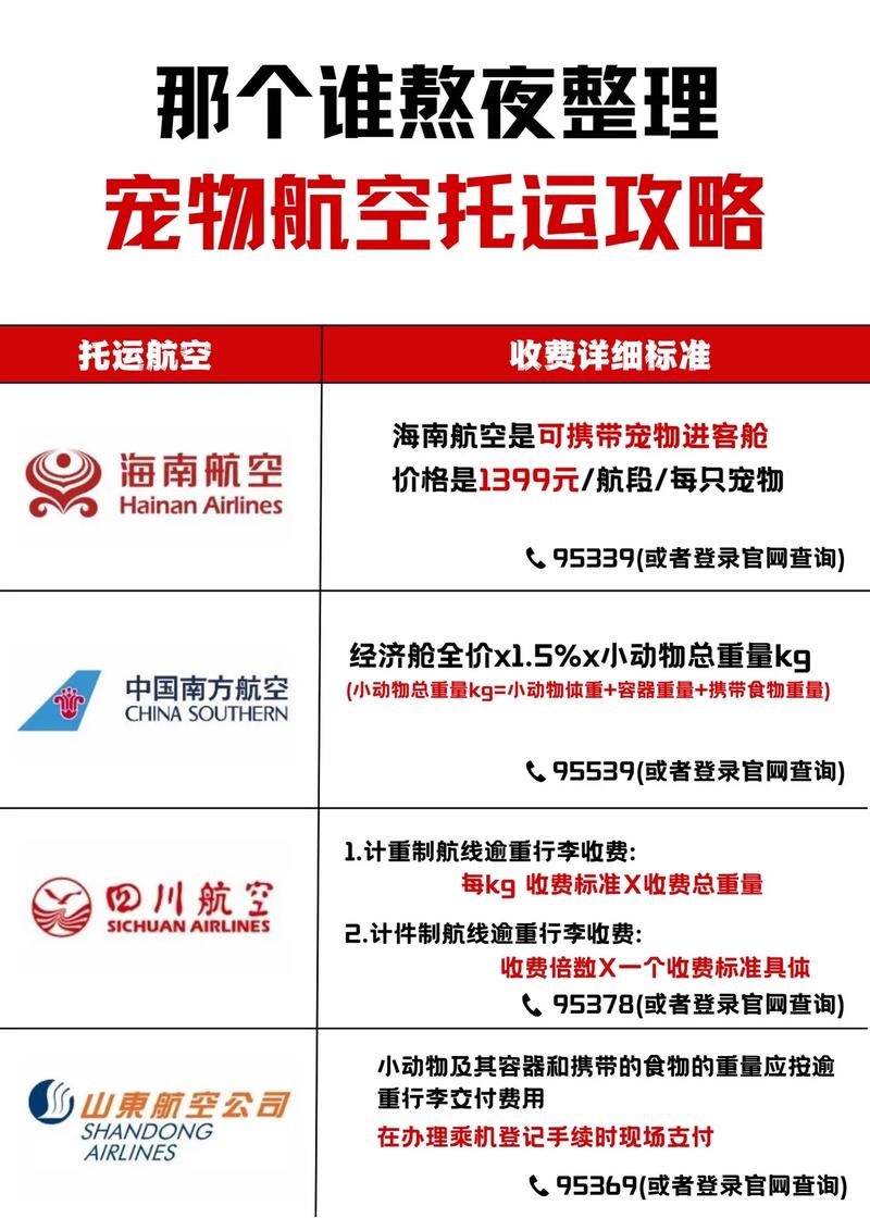 宠物托运收费标准(宠物可以快递吗怎么寄)