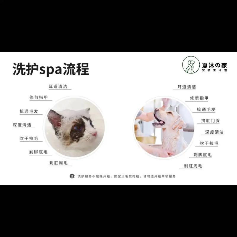 宠物洗护用品(宠物洗护需要什么证)