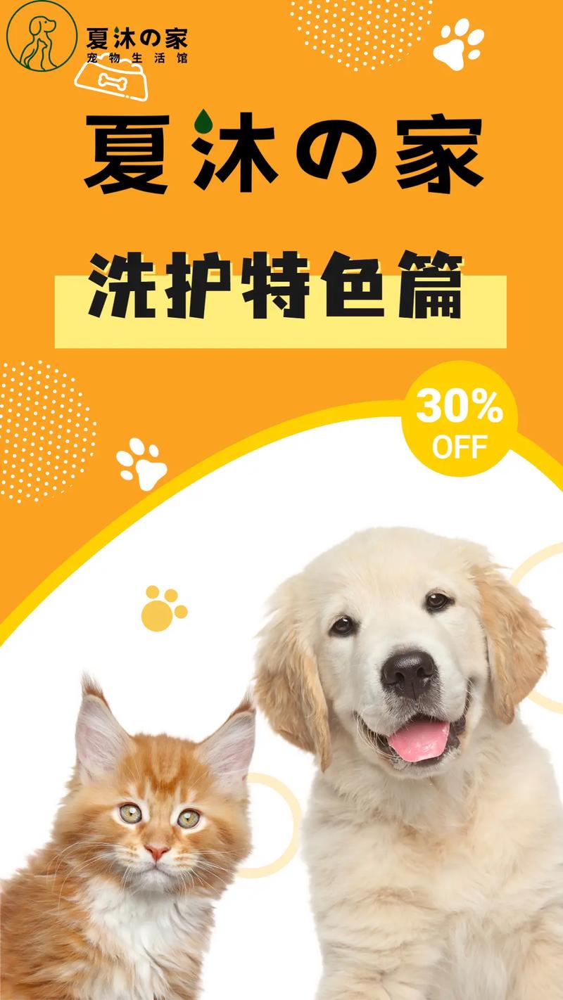 宠物洗护用品(宠物洗护需要什么证)