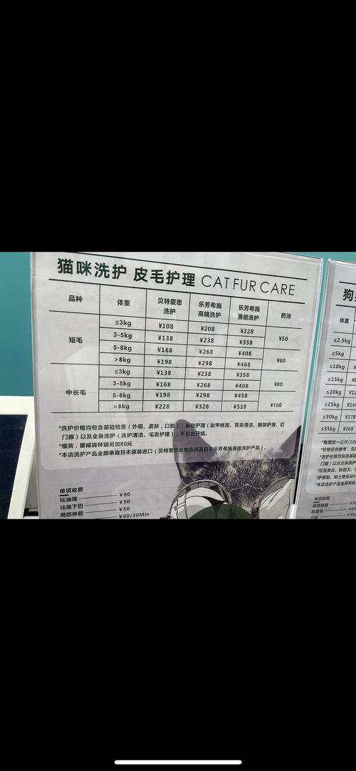 宠物洗澡多少钱猫(宠物洗澡多少钱一次)