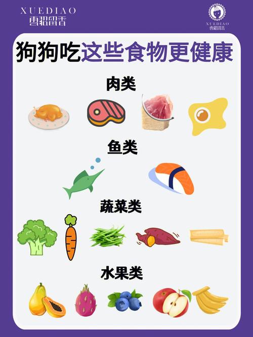 宠物狗吃什么食物比较好(史克肠虫清宠物狗能吃吗)