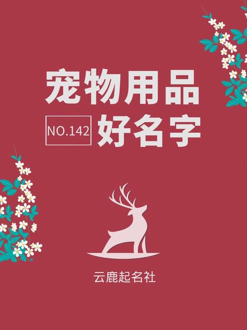 宠物用品英文品牌起名大全(宠物用品英文单词)