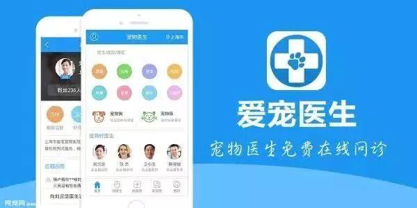 宠物线上咨询(宠物咨询24小时在线医生)