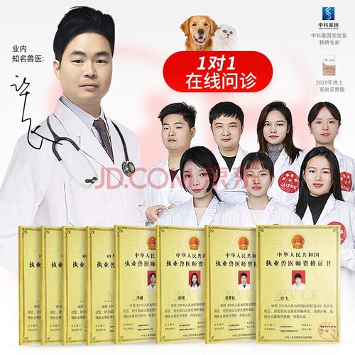 宠物线上咨询(宠物咨询24小时在线医生)