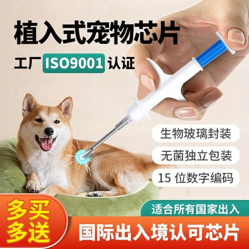 宠物芯片查询官网(宠物芯片有什么用)