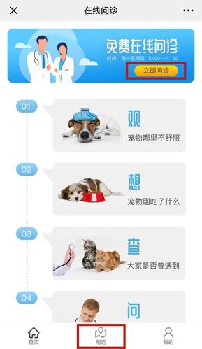 宠物问诊在线咨询免费(宠物问诊24小时)