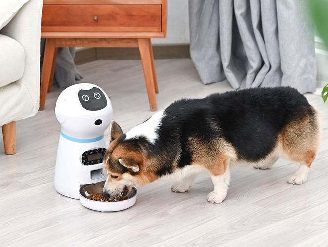 宠物食品加工设备机器(宠物狗的品种图片大全)