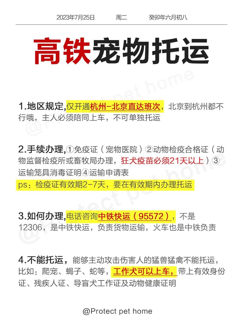 宠物高铁托运(宠物高铁怎么办理托运)