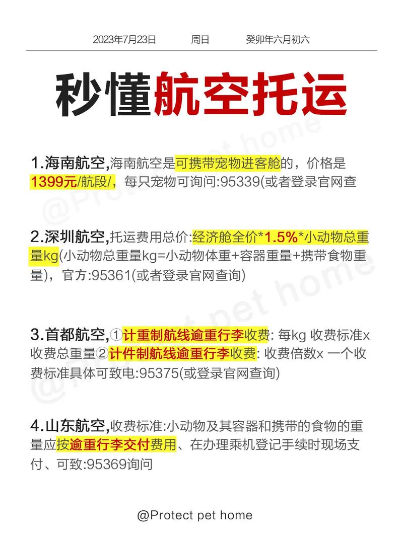 宠物高铁托运(宠物高铁怎么办理托运)