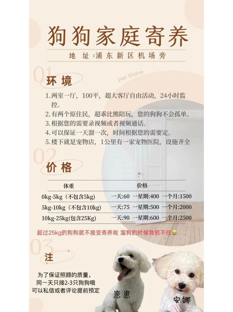 狗寄养宠物店一天多少钱(家庭式宠物寄养平台)