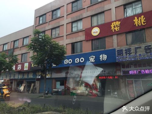 迈仕宠物用品有限公司(迈仕宠物用品专营店)