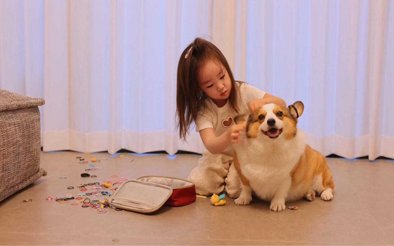 适合小孩养的宠物