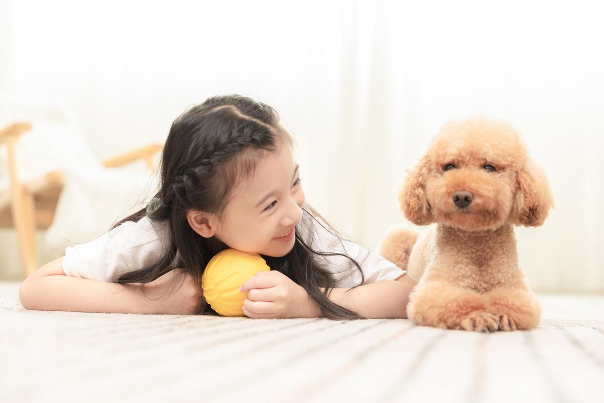 适合小孩养的宠物