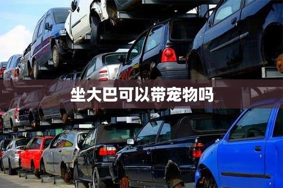 长途客运汽车可以带宠物吗(坐客运汽车可以带宠物吗)
