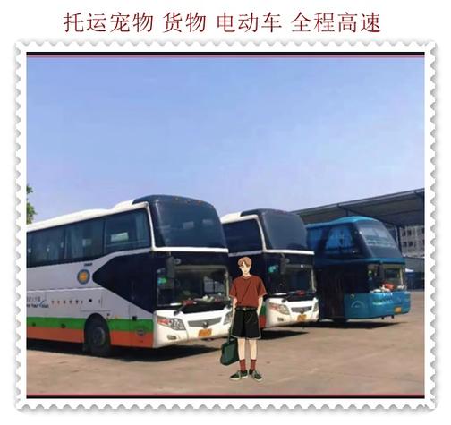 长途客运汽车可以带宠物吗(坐客运汽车可以带宠物吗)