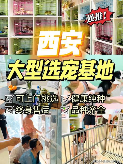 附近最大的卖狗的市场地址(西安宠物市场在哪)