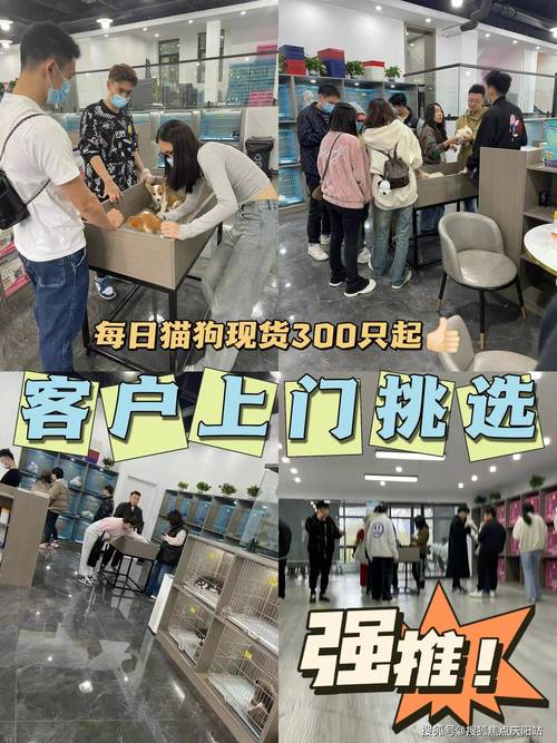 附近的宠物店买这么多放在家里(附近的宠物店离这最近的是多远)