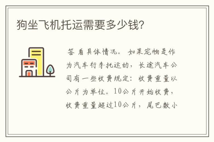 飞机可以托运宠物吗(宠物坐飞机托运需要多少钱)