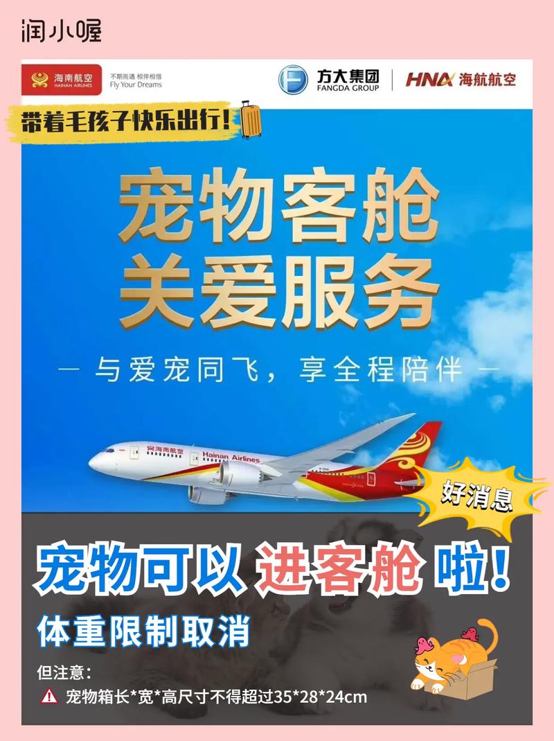 飞机可以携带宠物吗(飞机上让带宠物吗)