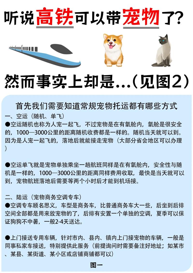 高铁宠物托运电话(高铁宠物托运怎么办理)