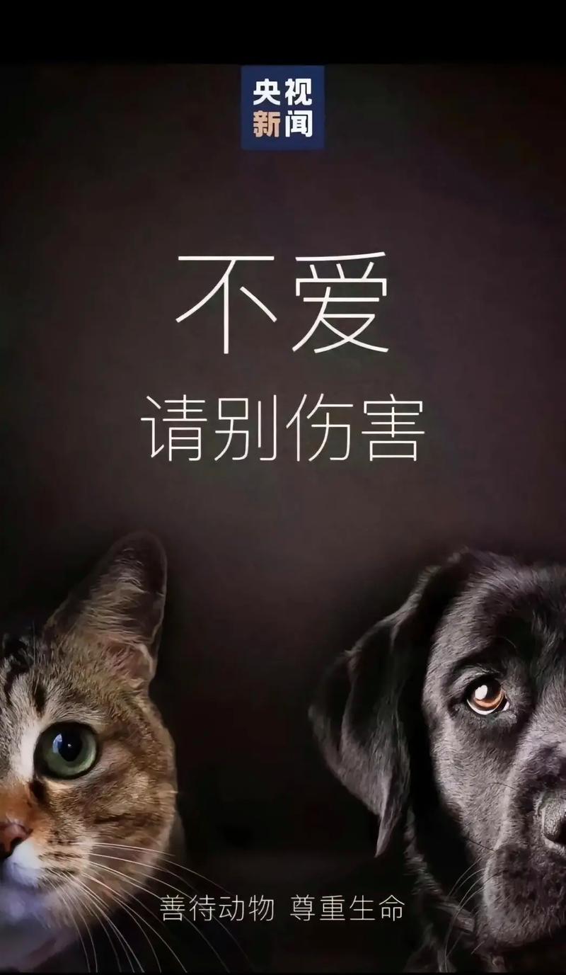 人与狗狗,人与狗狗相处的句子
