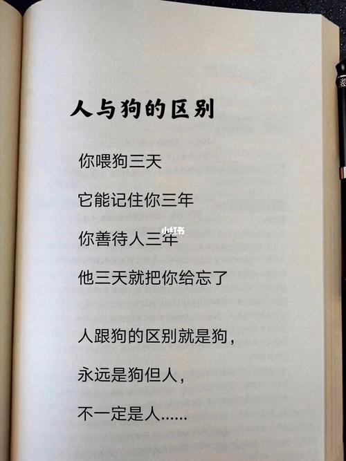 人与狗狗,人与狗狗相处的句子