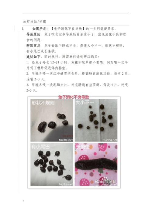 兔子拉稀怎么回事的,兔子有点拉稀怎么办