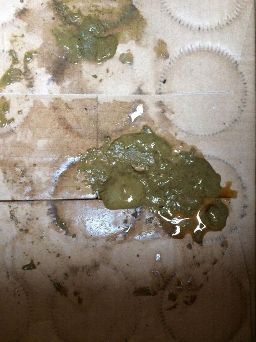 兔子拉肚子怎么办最简单方法,兔子拉肚子怎么办有土药没有