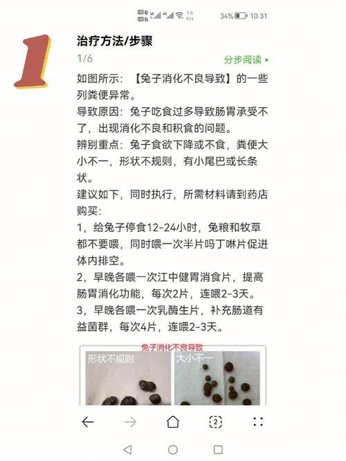 兔子拉肚子是什么原因,兔子拉肚子不吃东西没精神怎么办