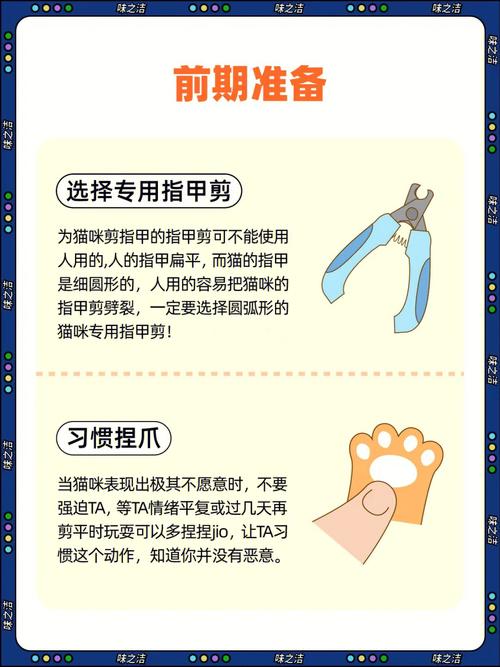 兔子能剪指甲吗,怎样给小猫剪指甲