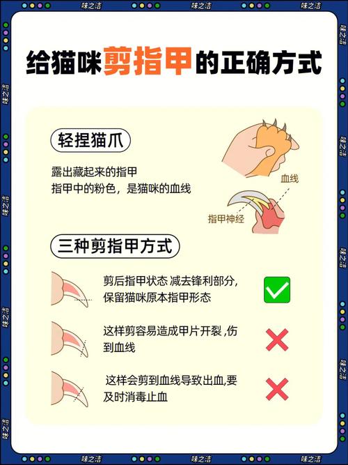 兔子能剪指甲吗,怎样给小猫剪指甲