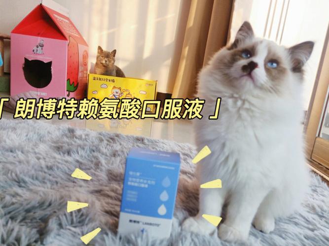 吃什么药可以抑制猫咪发春,用了棉签后猫咪能安静多久