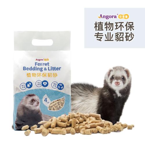 安格鲁貂吃什么,貂吃什么怎么喂养