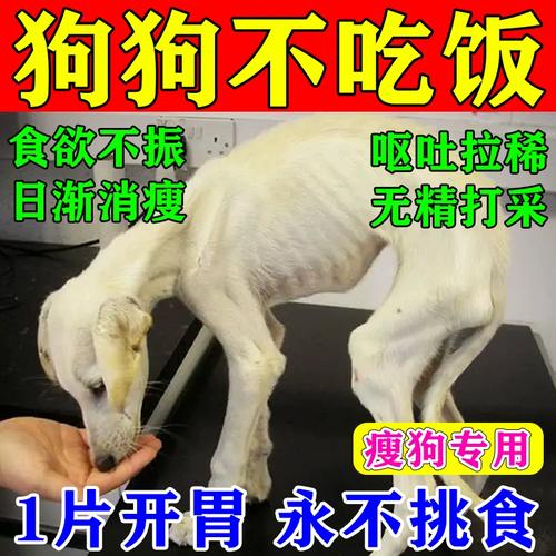 小狗不吃饭没精神是怎么回事,小狗不吃饭呕吐没精神吃什么药