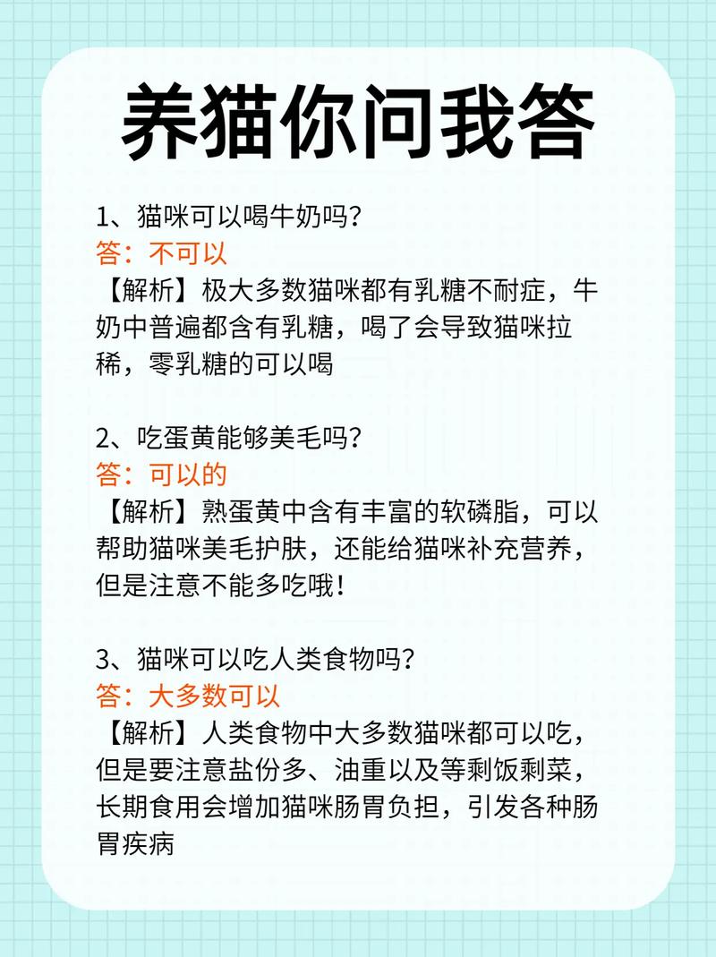 小猫咪可以喝牛奶吗,猫可不可以喝牛奶纯牛奶