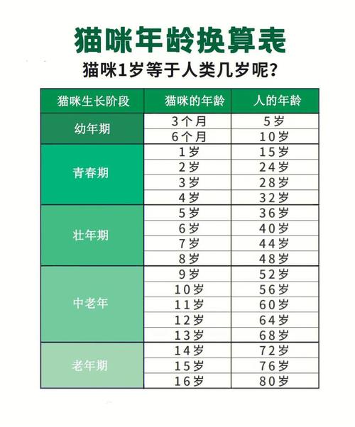 小猫寿命一般在多少年左右呢,小猫 寿命