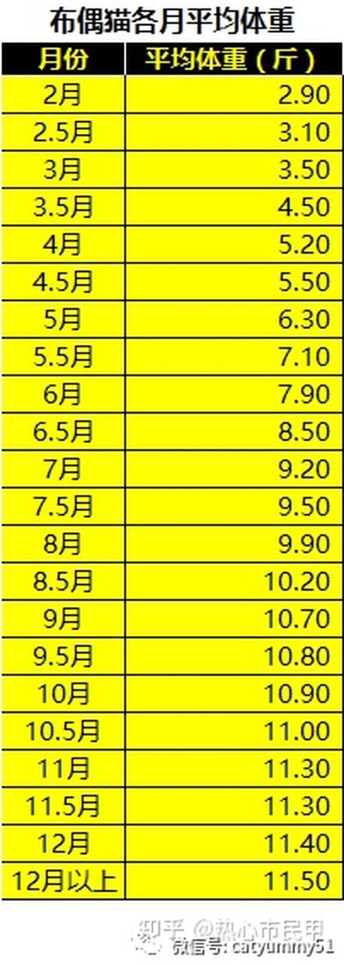 布偶猫体重年龄对照表,1岁布偶猫体重