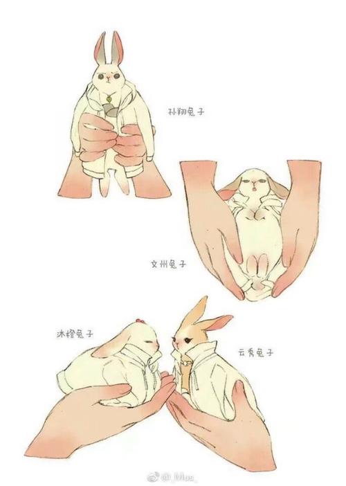 怎么抱兔子它不拉屎,怎么抱兔子视频教程