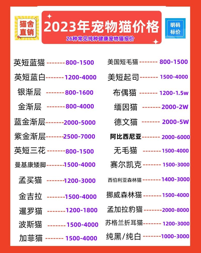 最便宜的猫多少钱一只,土猫多少钱一只啊
