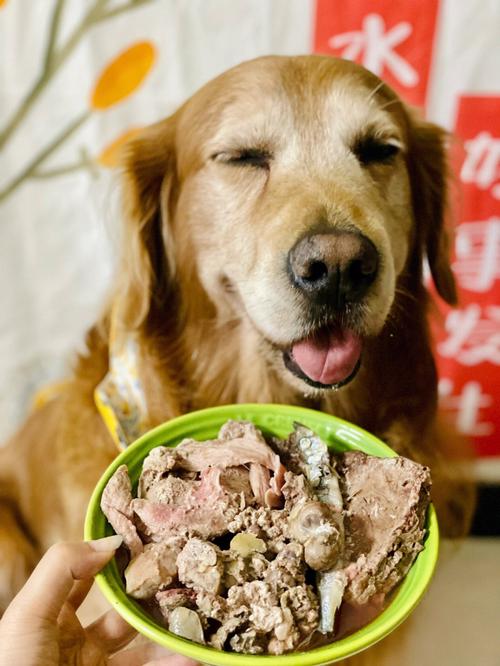 狗会吃狗吗,狗能吃狗肉吗会死吗